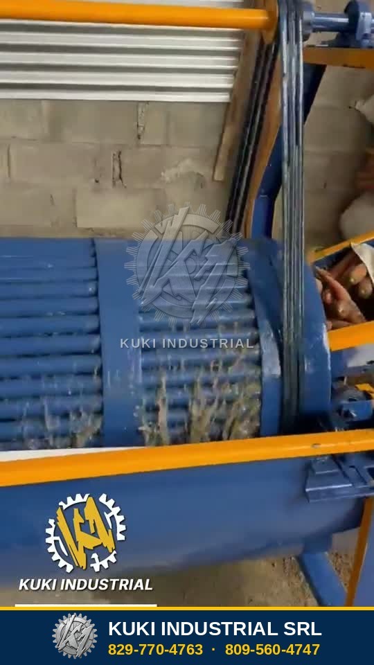 Lavadora de vegetales de Kuki Industrial trabajando